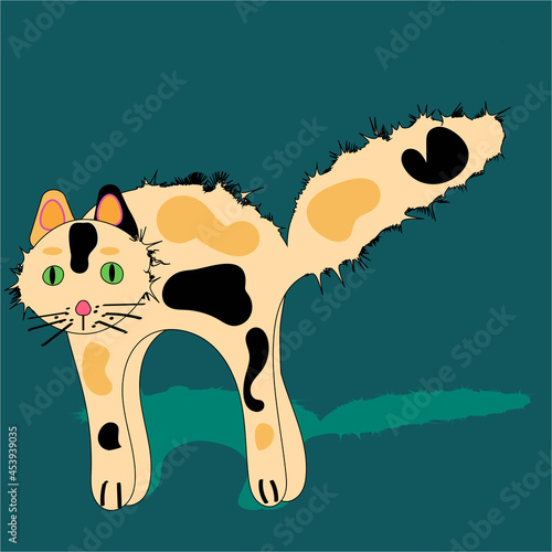 Illustration of a three colored cat