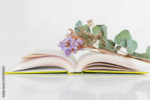 Spring composition. Book and dried flowers on white background. Flat lay, top view. Spring time reading concept.