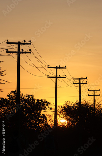 Electrifying posts with orange sunset sky background.