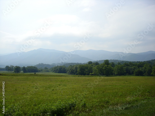 landscape with grass and mountains