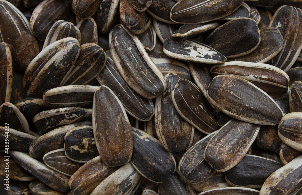Sunflower seed healthy natural snack Sunflower seed healthy natural snack