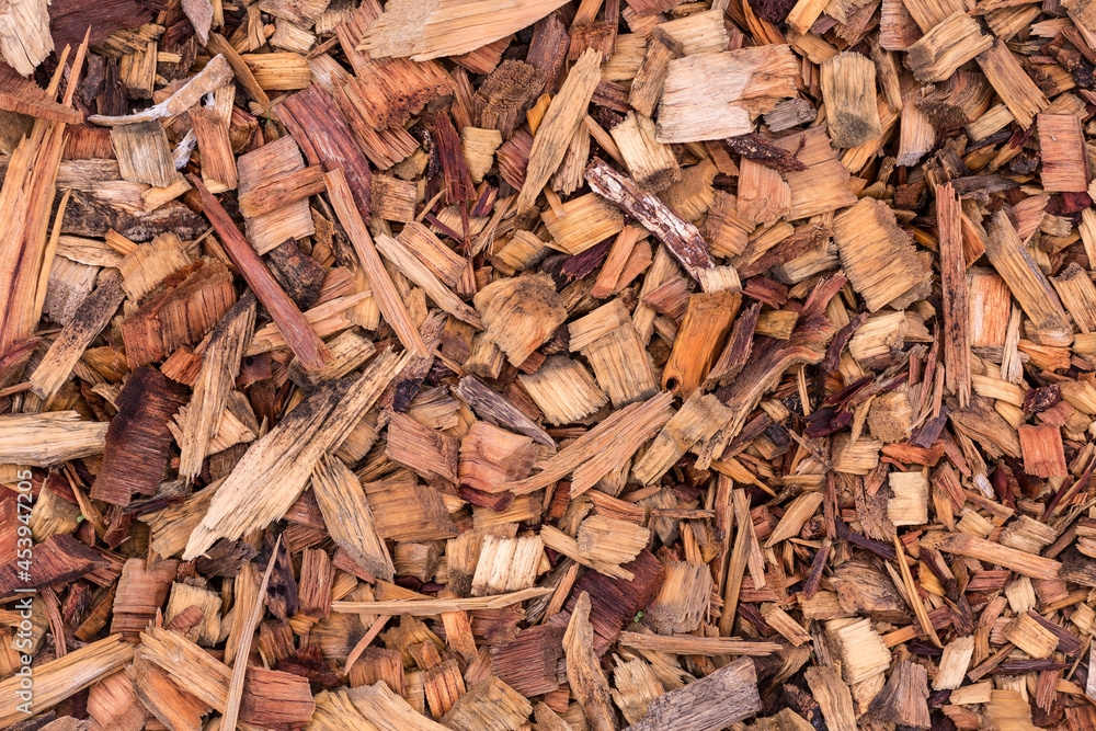 wood texture. still life. macro photographywood texture. still life. macro photography wood texture. still life. macro photographywood texture. still life. macro photography