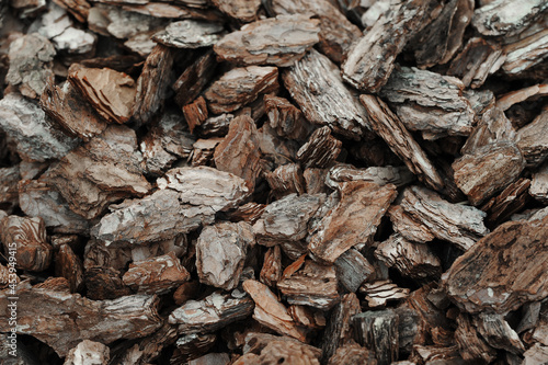 Firewood. Abstract wooden background. 