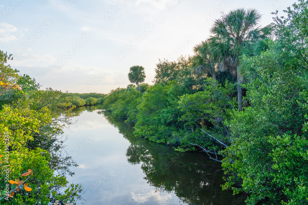 Swamp Channel at Pelican Island National Wildlife Refuge, Florida. A beautiful location for bird watching, hiking trails and excursions.