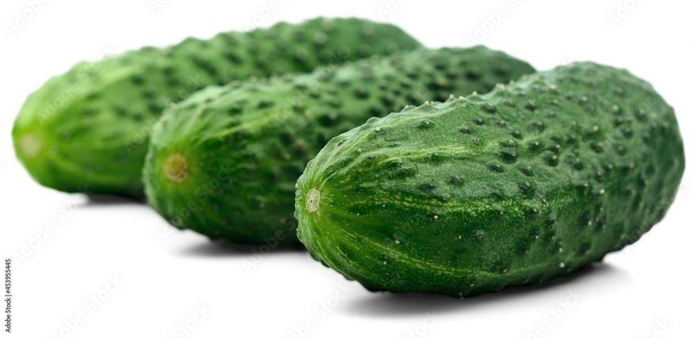 Fresh. Fresh.