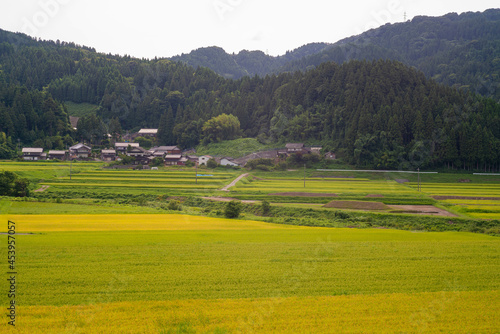 石川県輪島市の山沿いの風景 Scenery along the mountains in Wajima, Ishikawa Prefecture
