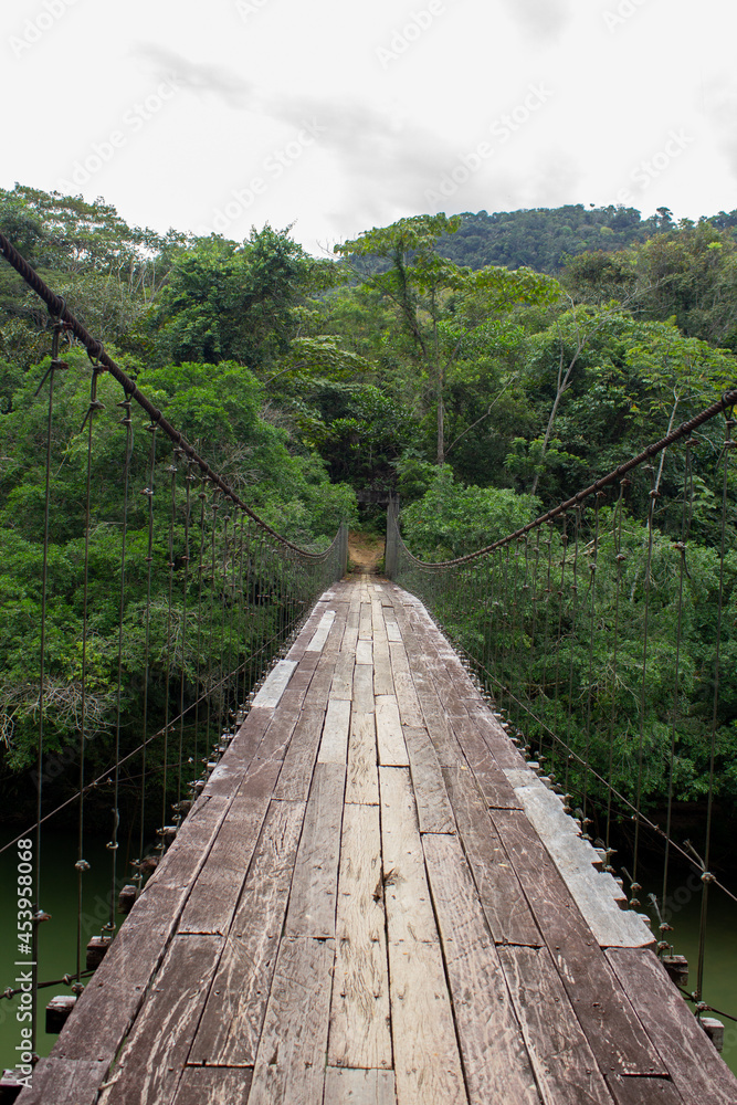 wooden bridge over the river with trees