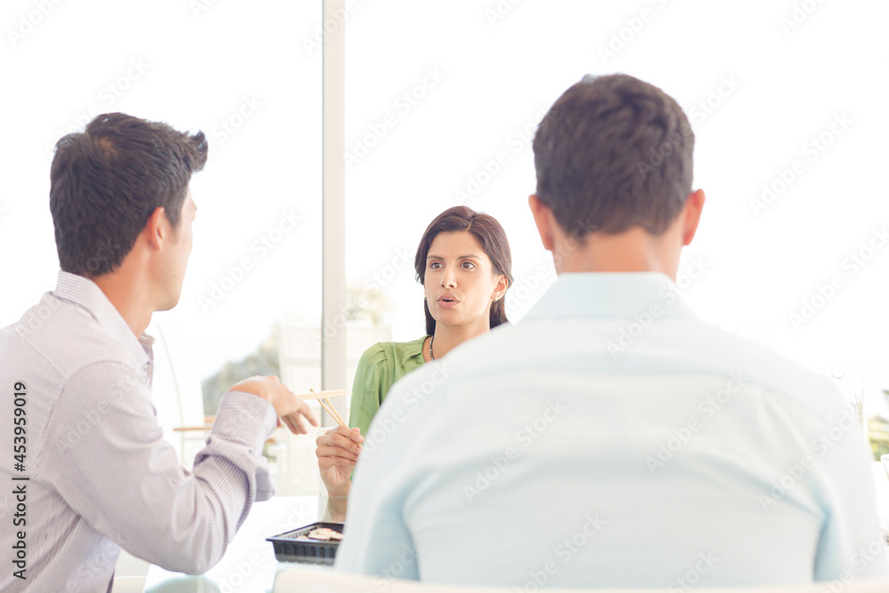 Fototapeta premium Business people talking in meeting