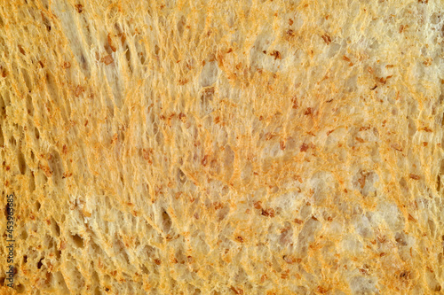 macro hi resolution of a crunchy golden toasted sliced sandwich bread's surface for background wallpaper