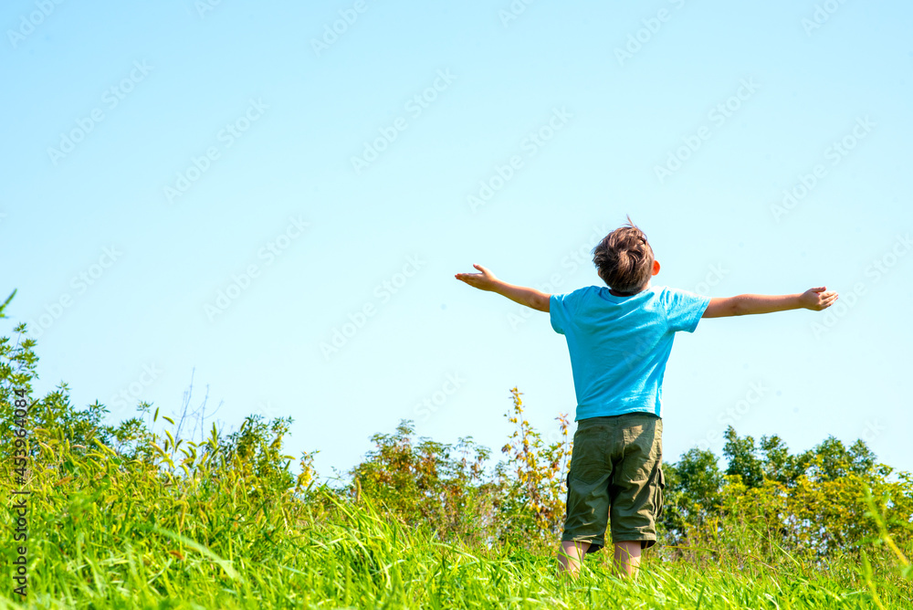 happy child stands on the field, raised his hands to the sky, boy raised his hands up on a sunny summer day happy child stands on the field, raised his hands to the sky, boy raised his hands up on a sunny summer day