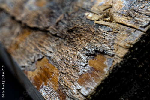Canvas Print Close-up details of used, distressed, weathered pine pallet wood grain pattern with selective focus for copy space on a black background