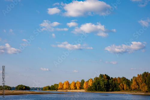 Autumn colored forest view - sunny day picturesque landscape with river Ob, Russia, Siberia and yellowed autumn. Blue sky with heap of clouds over the fall forest