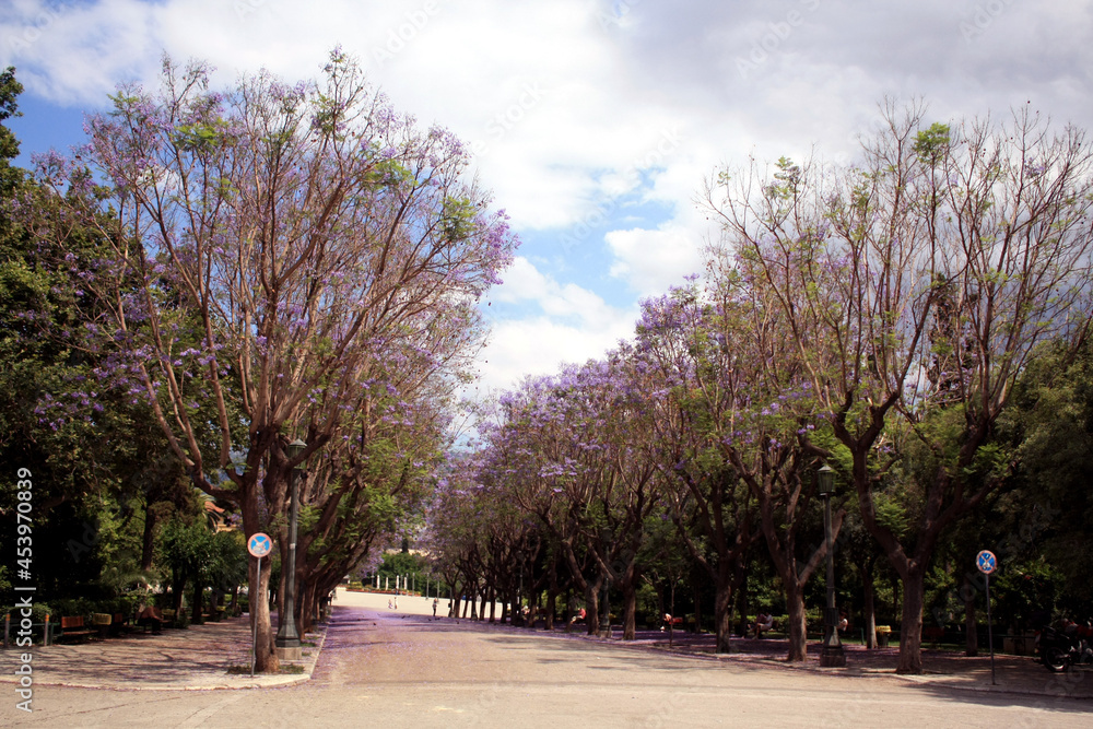 Athens Athens