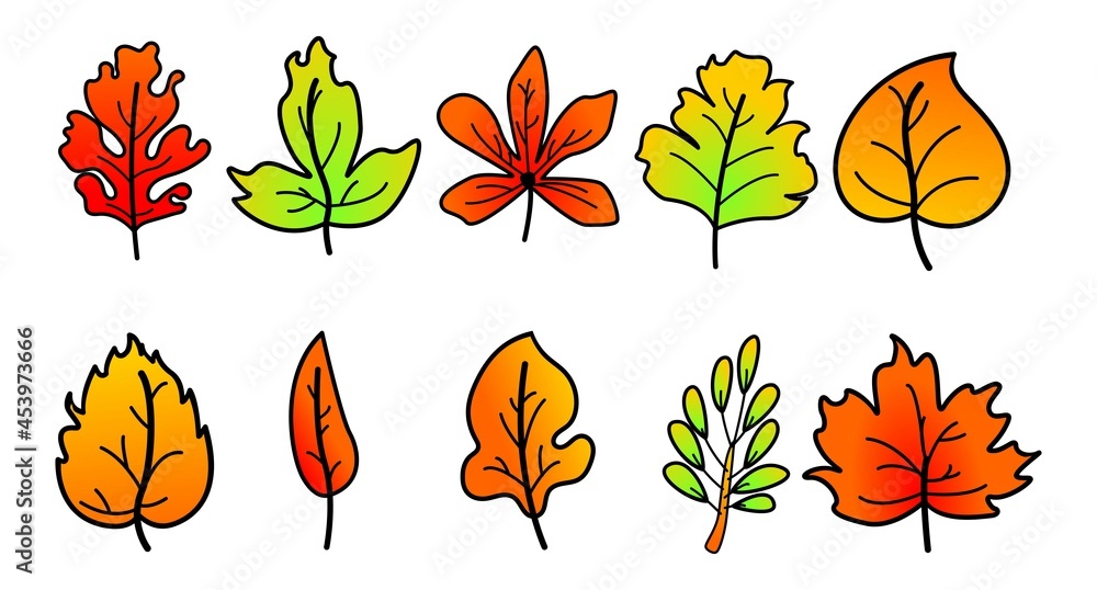 Obraz premium Colorful autumn leaves set, isolated on a white background. simple cartoon, vector illustration.