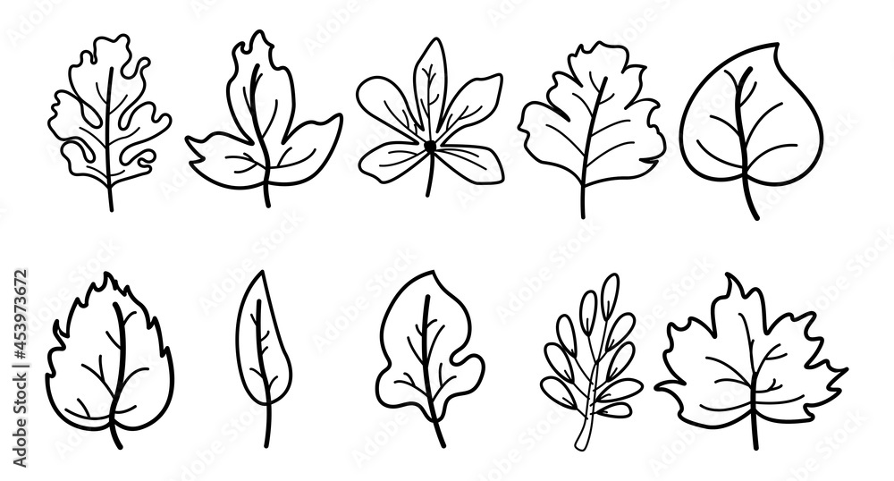 Line art autumn leaves set, isolated on a white background. simple cartoon, vector illustration.