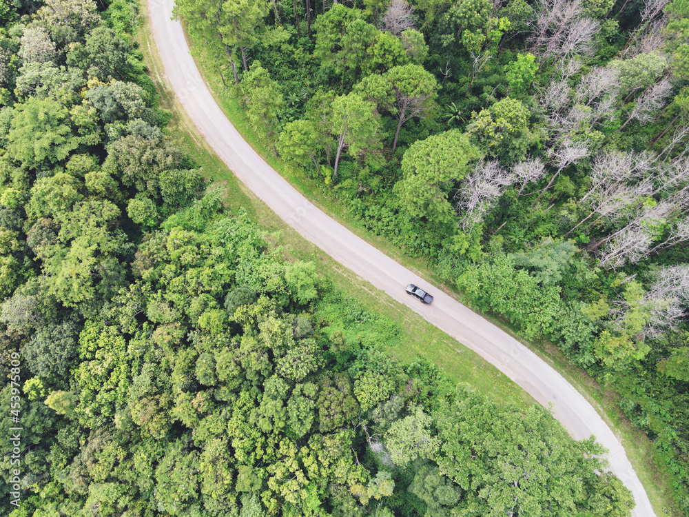 Aerial view forest nature with car on the road on the mountain green tree, Top view road curve from above, Bird eye view road through mountain the green forest beautiful fresh environment
