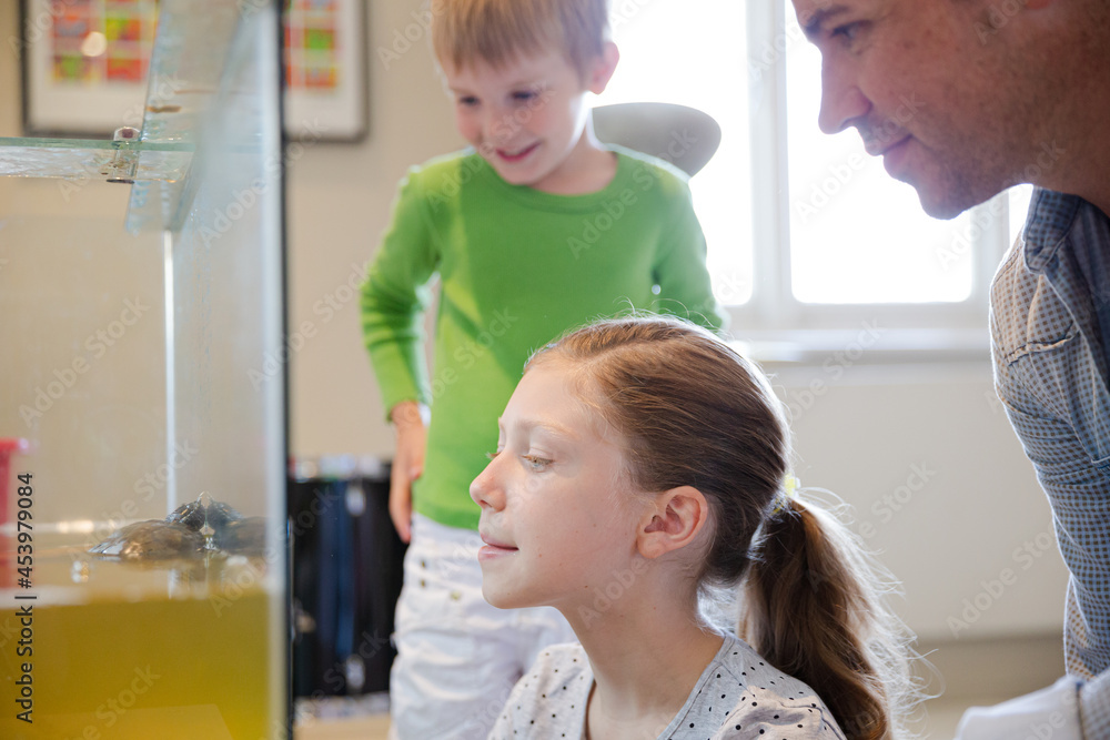 Father and daughter watching turtle swim in tank Father and daughter watching turtle swim in tank