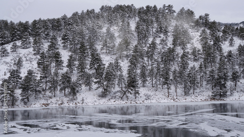 winter mist 