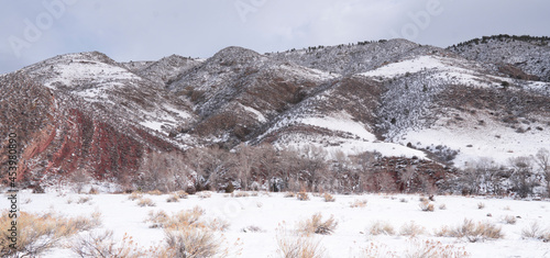 winter hills 