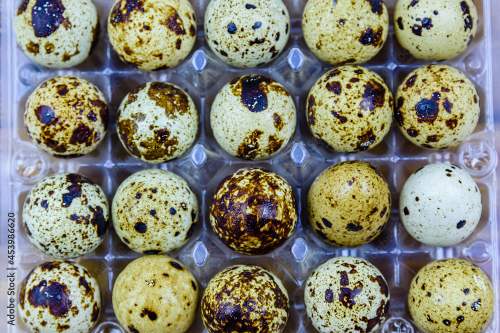 Spotted quail eggs in a plastic box. Healthy nutrition. Top view
