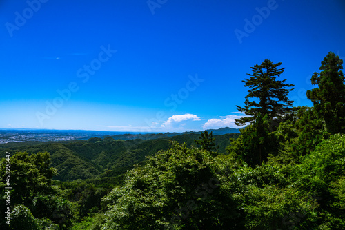 高尾山 かすみ台展望台からの景色 夏