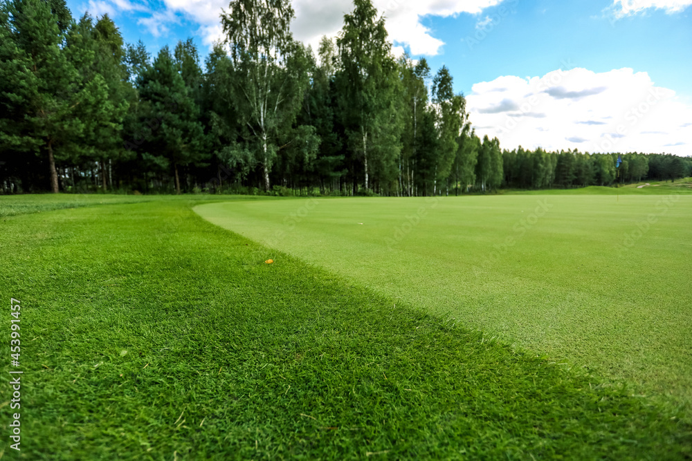 Fresh green grass background turf a top view. High quality photo Fresh green grass background turf a top view. High quality photo