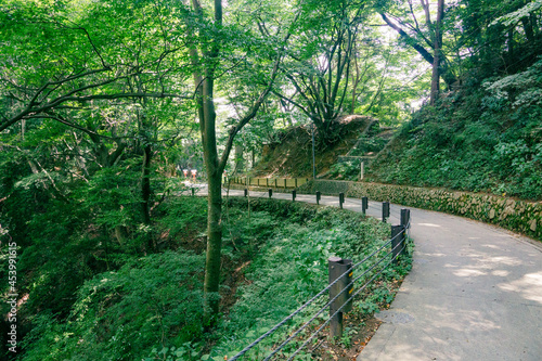 高尾山薬王院　表参道　女坂　夏