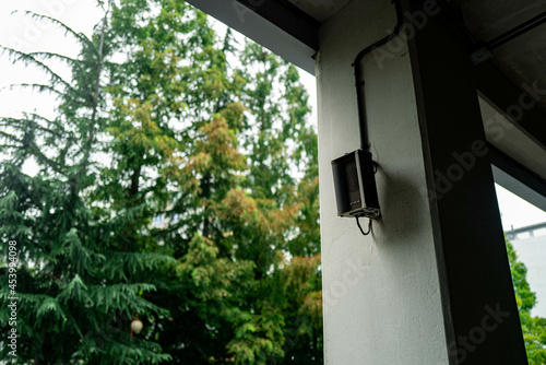 Wallpaper Mural 비의 소리 Torontodigital.ca