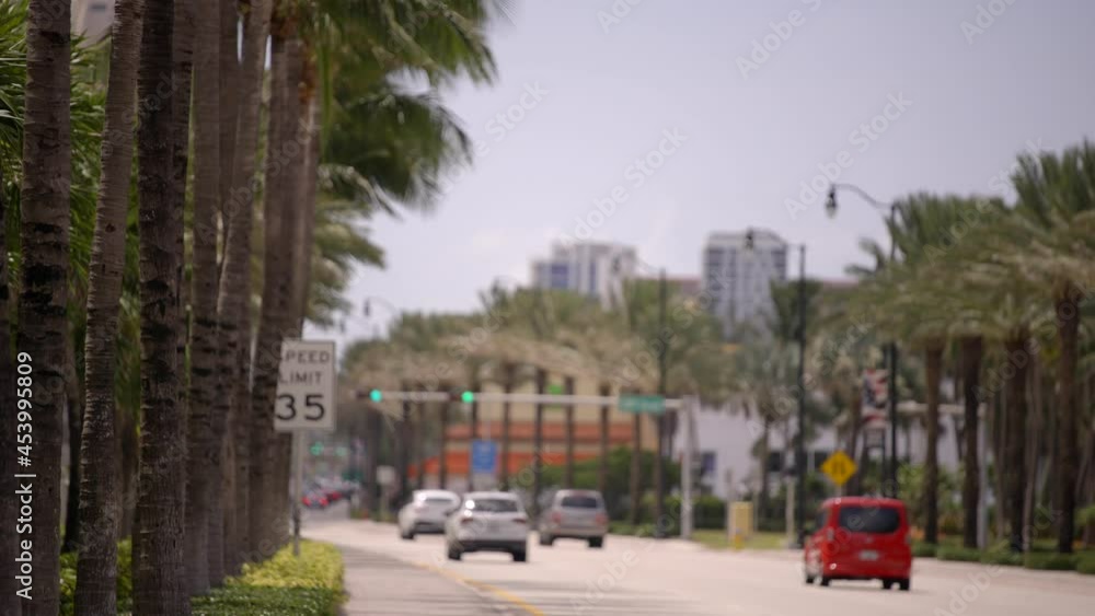 Palm trees by a road with moving cars 4k Palm trees by a road with moving cars 4k