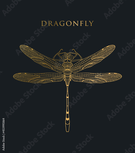 vector golden dragonfly stripes on black background