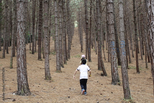running in the forest