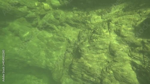 underwater world of a mountain river in the summer