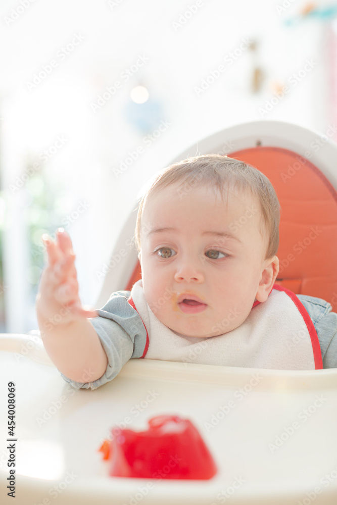 Baby boy eating gelatin dessert in high chair Baby boy eating gelatin dessert in high chair