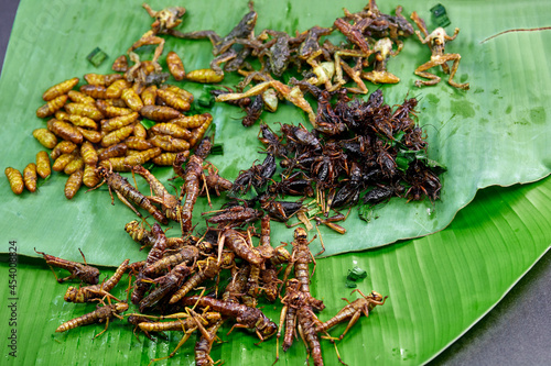 The variety of fried animals in nature for food on green leaf banana photo