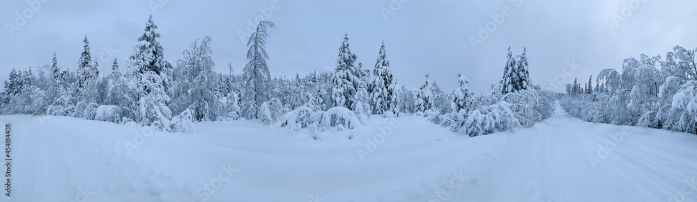 Cold winter panorama of snow-covered road in frozen Arctic Circle forest Cold winter panorama of snow-covered road in frozen Arctic Circle forest