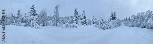 Cold winter panorama of snow-covered road in frozen Arctic Circle forest