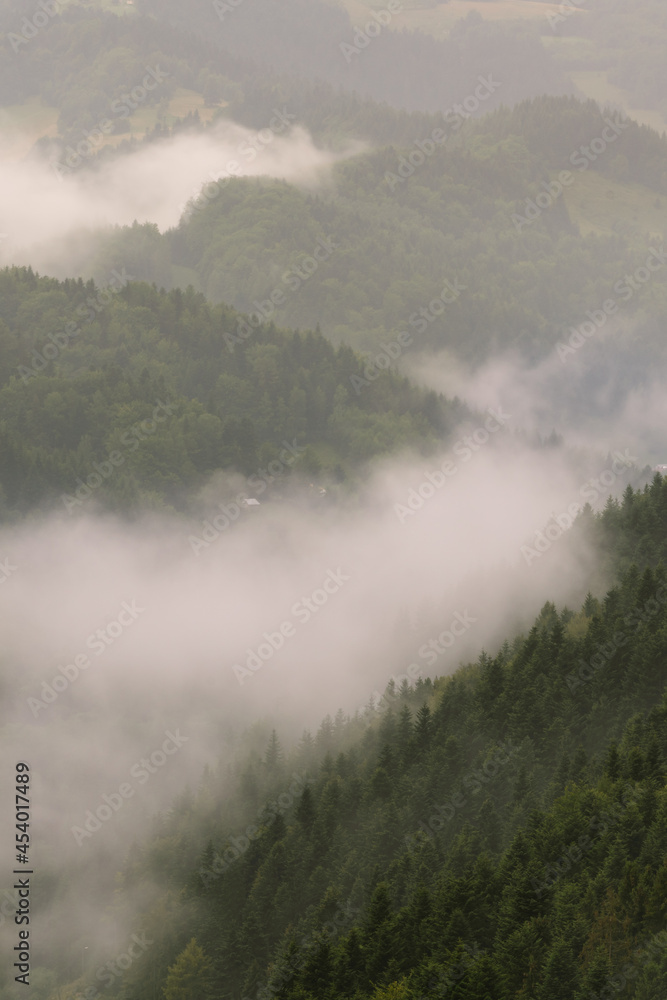 Mountain hills in fog, Beskid Sadecki, Piwniczna, Poland
in the area of Poprad Landscape Park