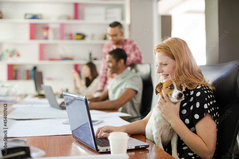 Dog sitting on woman lap in office Dog sitting on woman lap in office