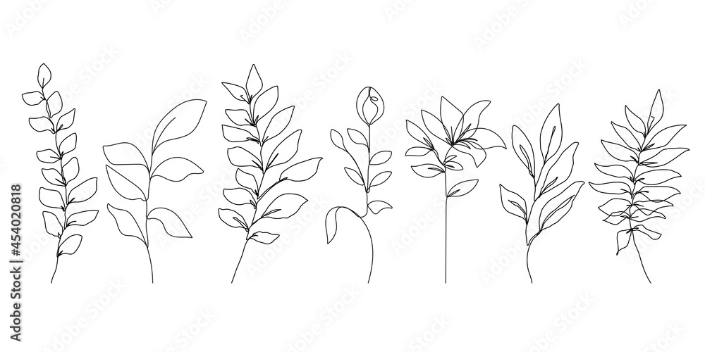 Continuous Line Drawing Set Of Plants Black Sketch of Flowers Isolated on White Background. Flowers One Line Illustration. Minimalist Prints Set. Vector EPS 10. Continuous Line Drawing Set Of Plants Black Sketch of Flowers Isolated on White Background. Flowers One Line Illustration. Minimalist Prints Set. Vector EPS 10.