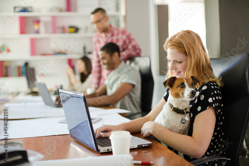 Dog sitting on woman lap in office