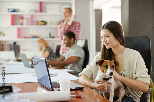 Dog sitting on woman lap in office