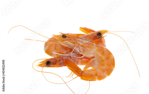 boiled shrimp isolated © ksena32