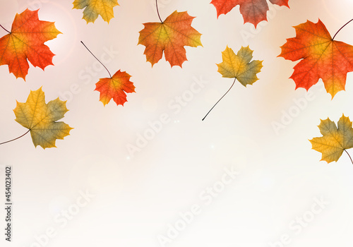Autumn fall. Falling color leaves