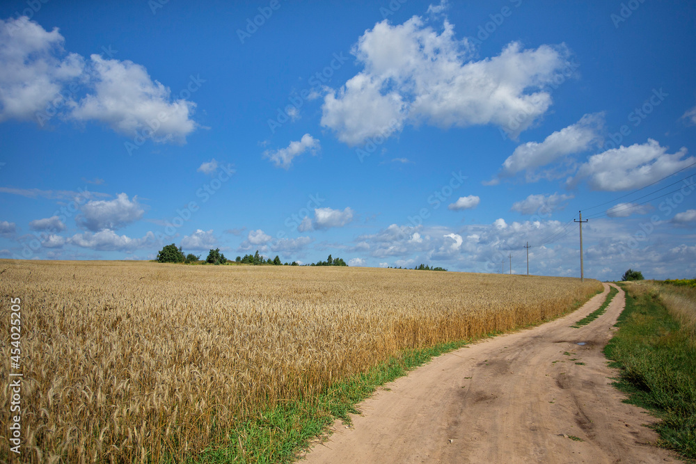 road in the field