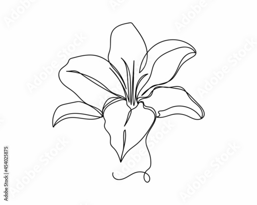Continuous one line drawing of beautiful lilly flower icon in silhouette on a white background. Linear stylized.