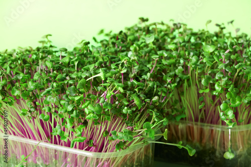 Plastic containers with fresh micro green on color background, closeup