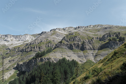 landscape in the mountains