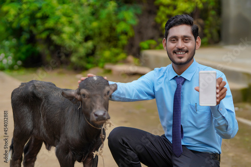 Young indian animal husbandry officer or banker with calf and showing smartphone.