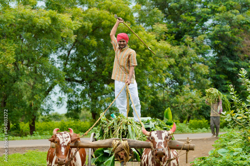 Принти на полотні Rural scene : Young indian farmer going to work his farm on bullock cart