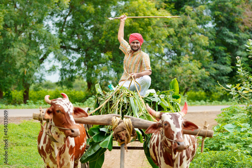 Rural scene : Young indian farmer going to work his farm on bullock cart